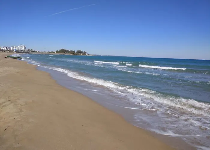 Blue In 5* Ceasar * Trikomo