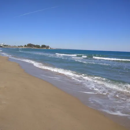 Blue In 5* Ceasar * Trikomo